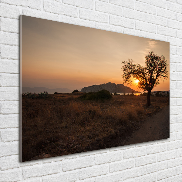 Printed glass wall art Sunset