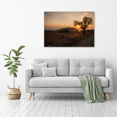 Printed glass wall art Sunset