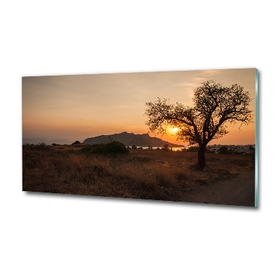 Printed glass wall art Sunset