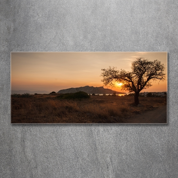 Printed glass wall art Sunset