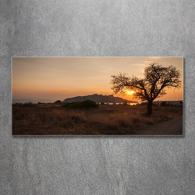 Printed glass wall art Sunset