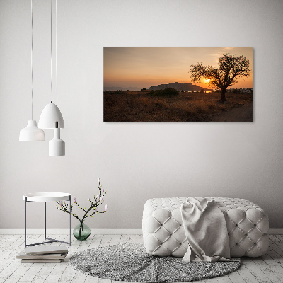 Printed glass wall art Sunset