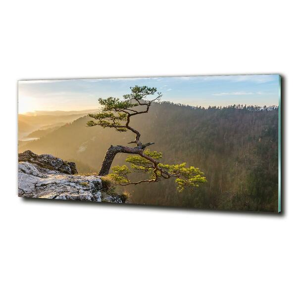 Glass picture wall art Sokolica pieniny