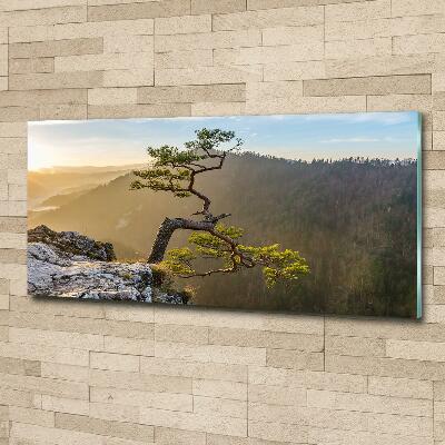 Glass picture wall art Sokolica pieniny