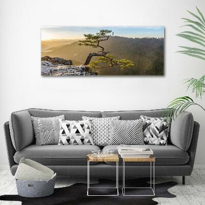 Glass picture wall art Sokolica pieniny