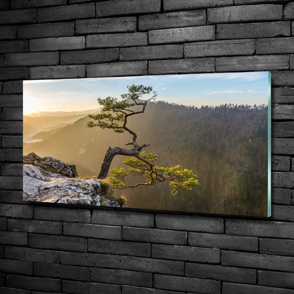 Glass picture wall art Sokolica pieniny