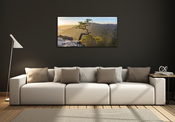 Glass picture wall art Sokolica pieniny