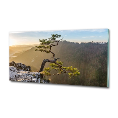 Glass picture wall art Sokolica pieniny