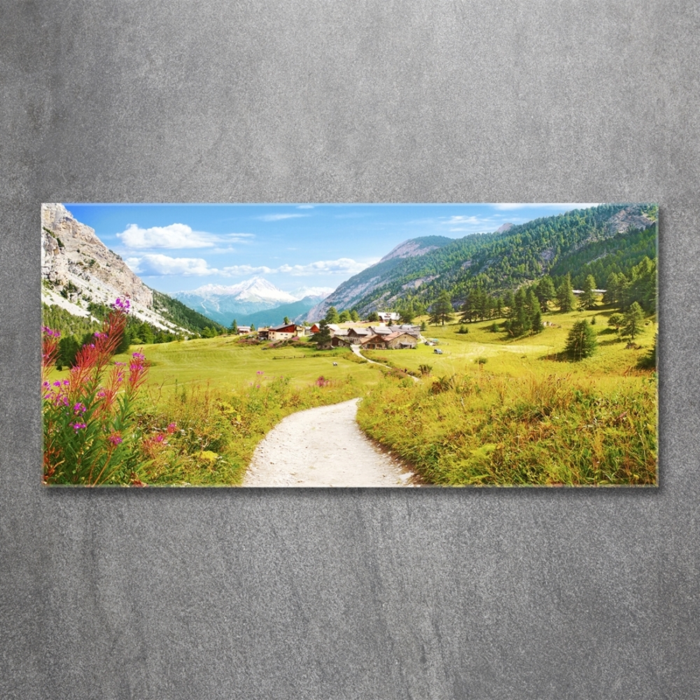 Printed glass wall art Pasture in the alps