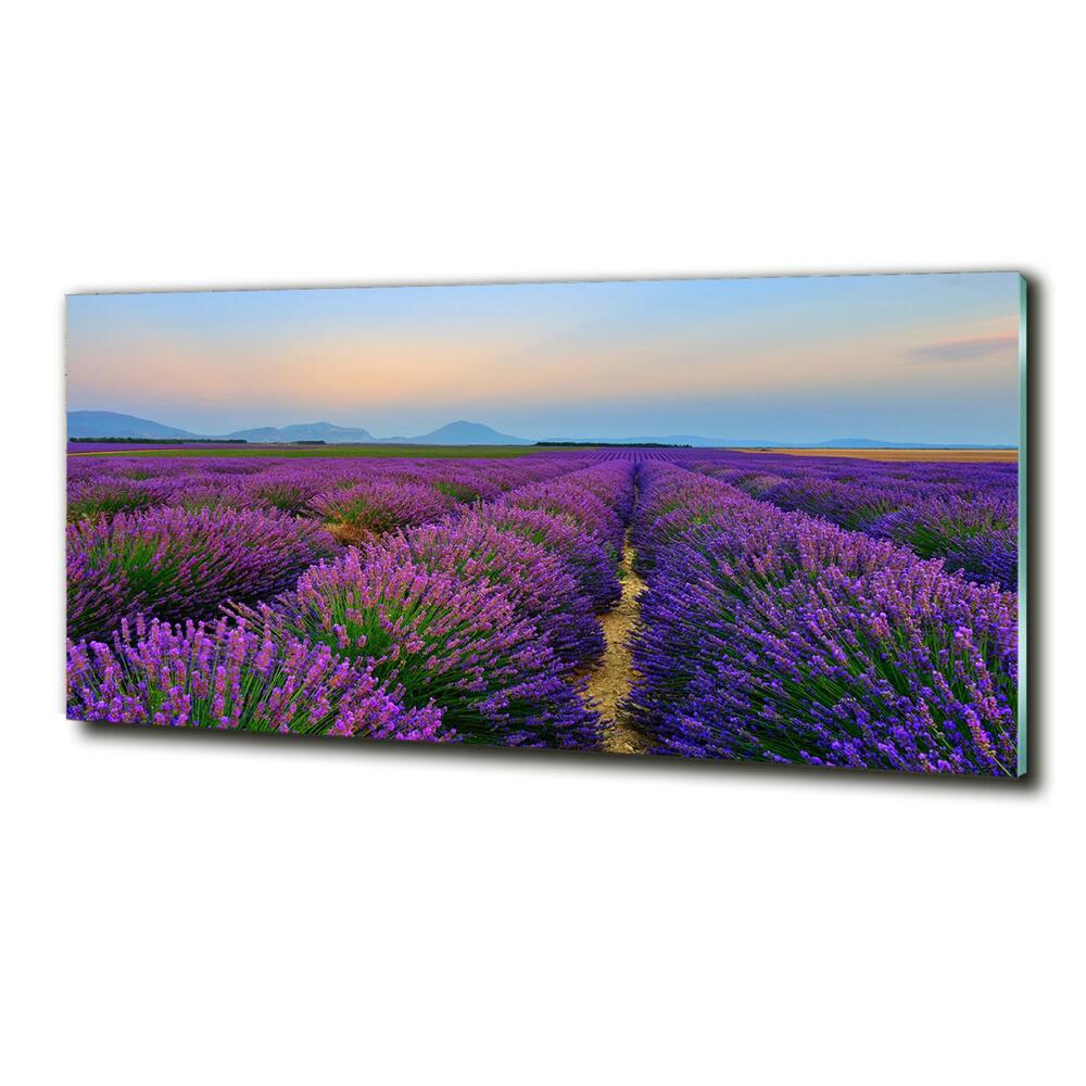 Glass picture wall art Lavender field