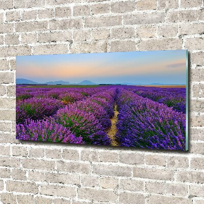 Glass picture wall art Lavender field