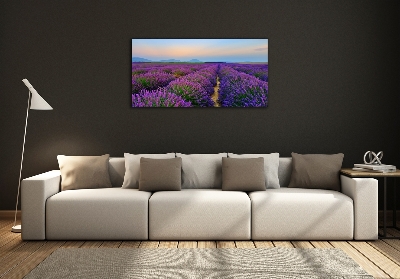 Glass picture wall art Lavender field