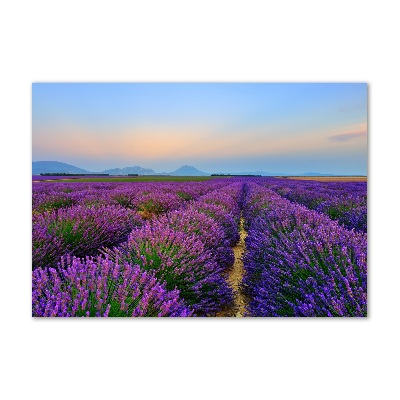 Glass picture wall art Lavender field