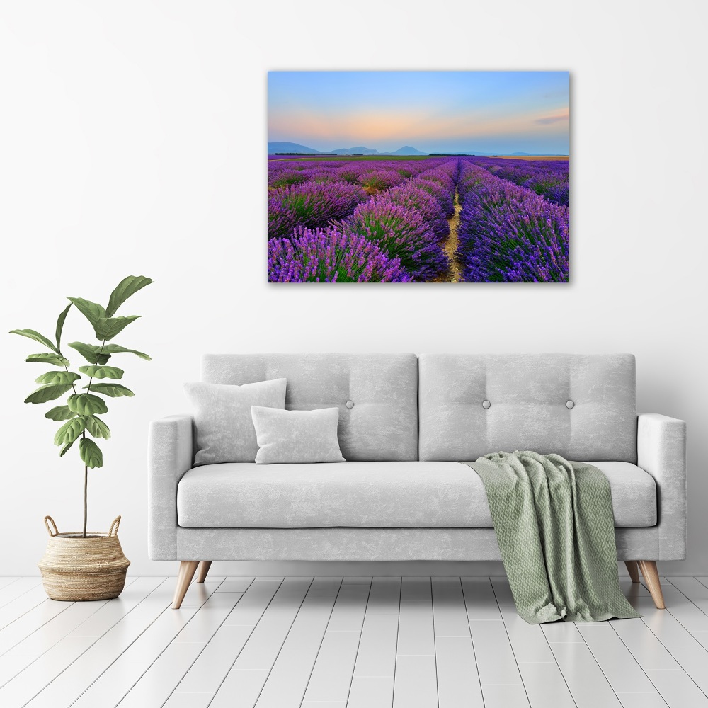 Glass picture wall art Lavender field