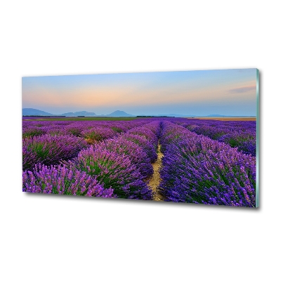 Glass picture wall art Lavender field