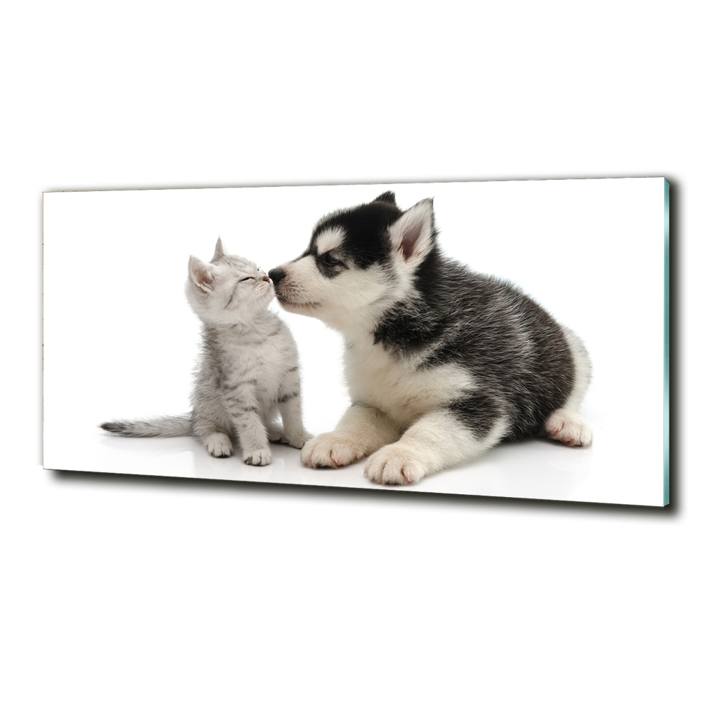 Glass art print Dog and cat