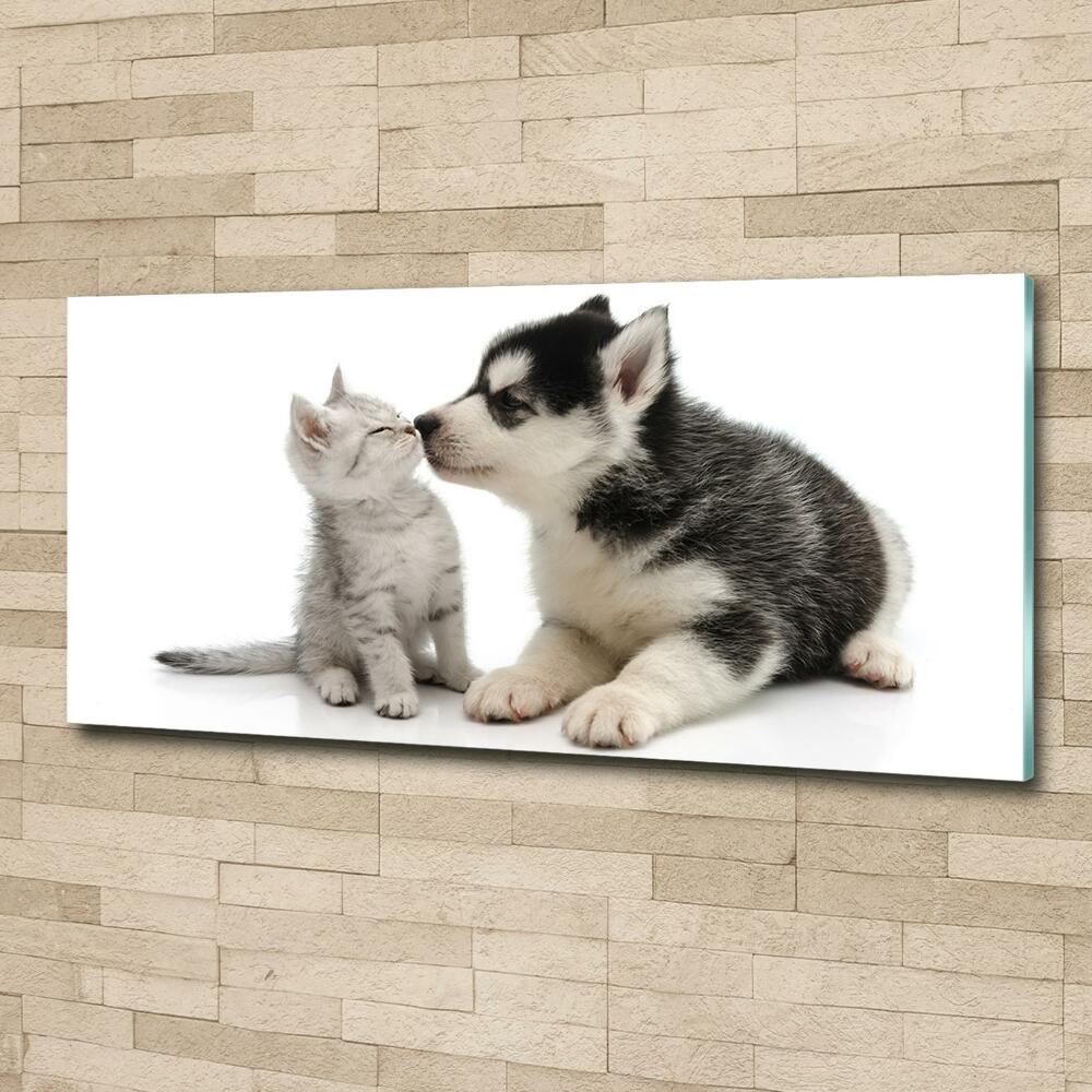 Glass art print Dog and cat