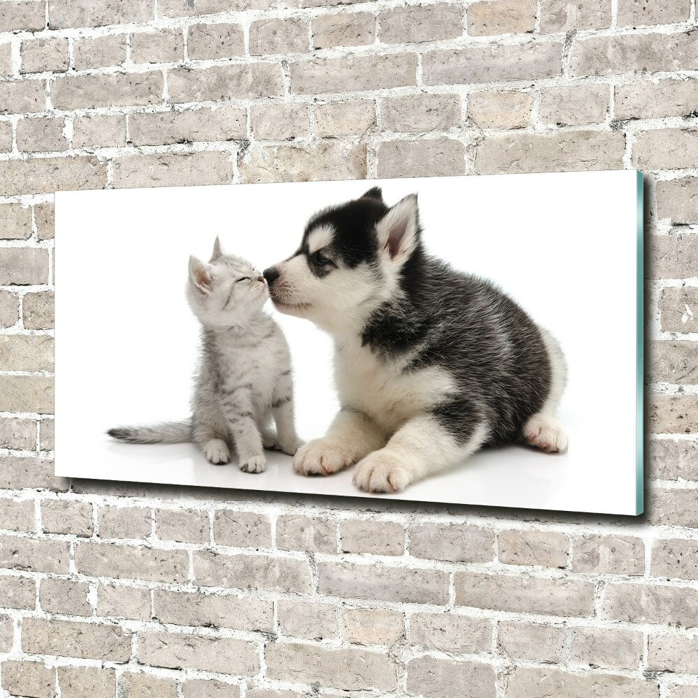 Glass art print Dog and cat