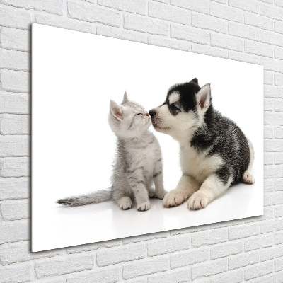 Glass art print Dog and cat