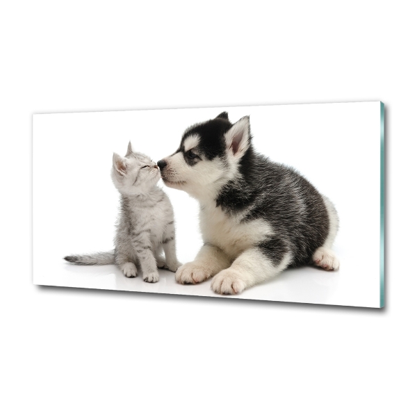 Glass art print Dog and cat