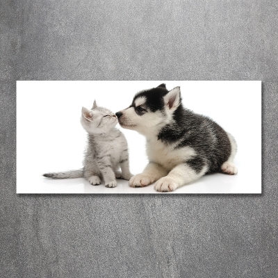 Glass art print Dog and cat