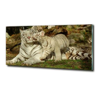 Wall art on glass Tigers