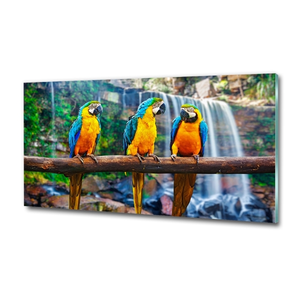 Glass art print Parrots on a branch