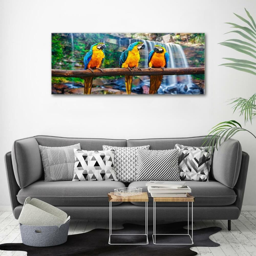 Glass art print Parrots on a branch