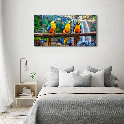 Glass art print Parrots on a branch