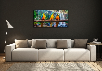 Glass art print Parrots on a branch