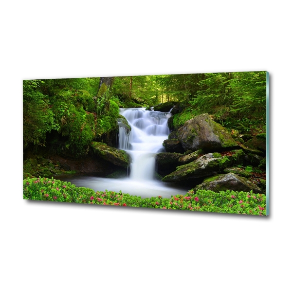 Printed glass wall art Waterfall in the forest