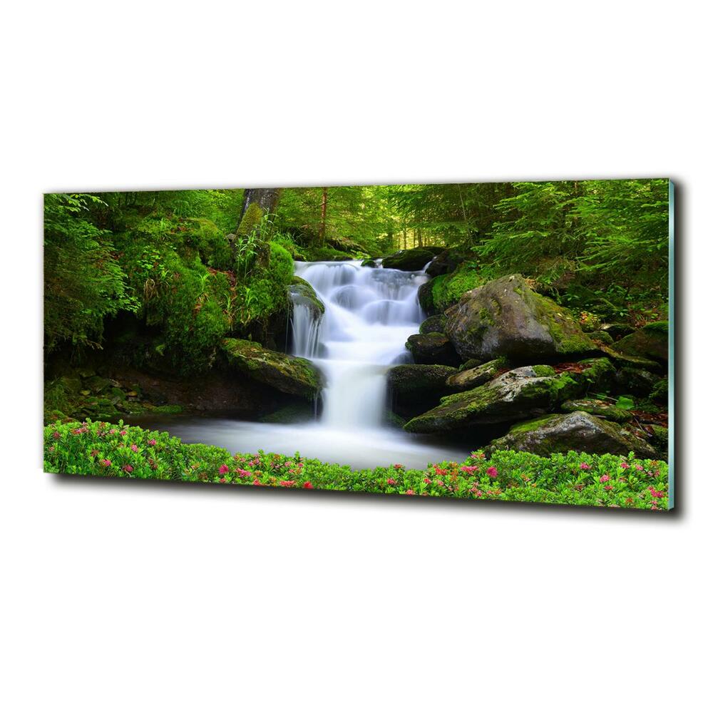 Printed glass wall art Waterfall in the forest