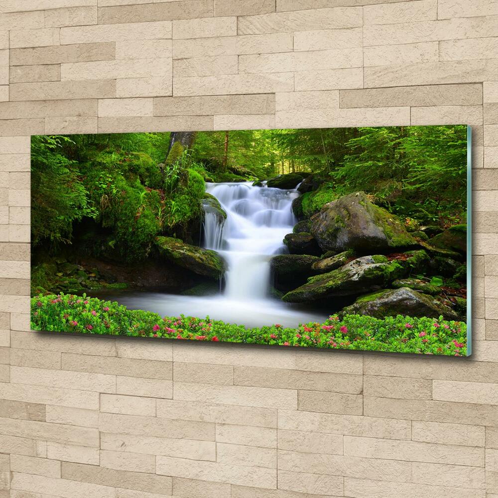 Printed glass wall art Waterfall in the forest