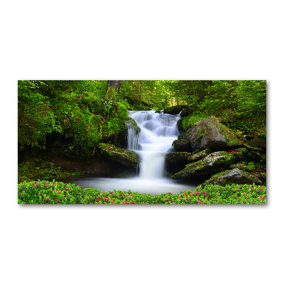 Printed glass wall art Waterfall in the forest