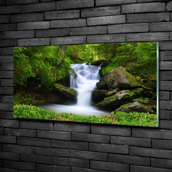 Printed glass wall art Waterfall in the forest