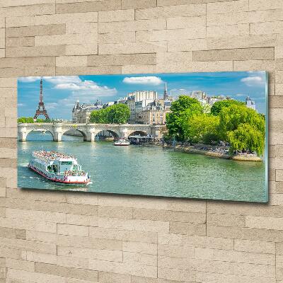 Wall art on glass Seine paris