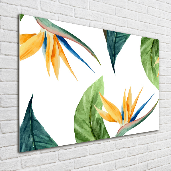 Wall art on glass Tropical flowers