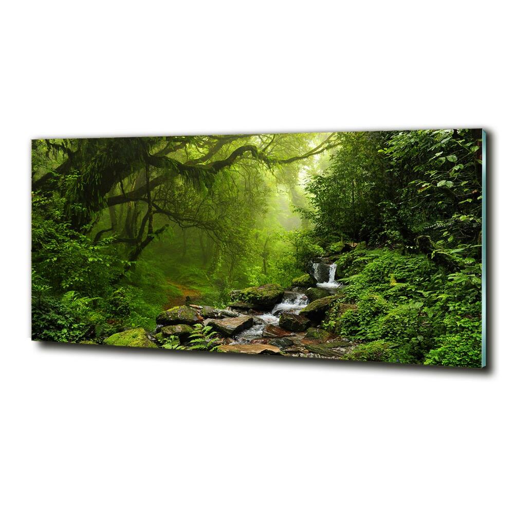 Printed glass wall art Jungle in nepal