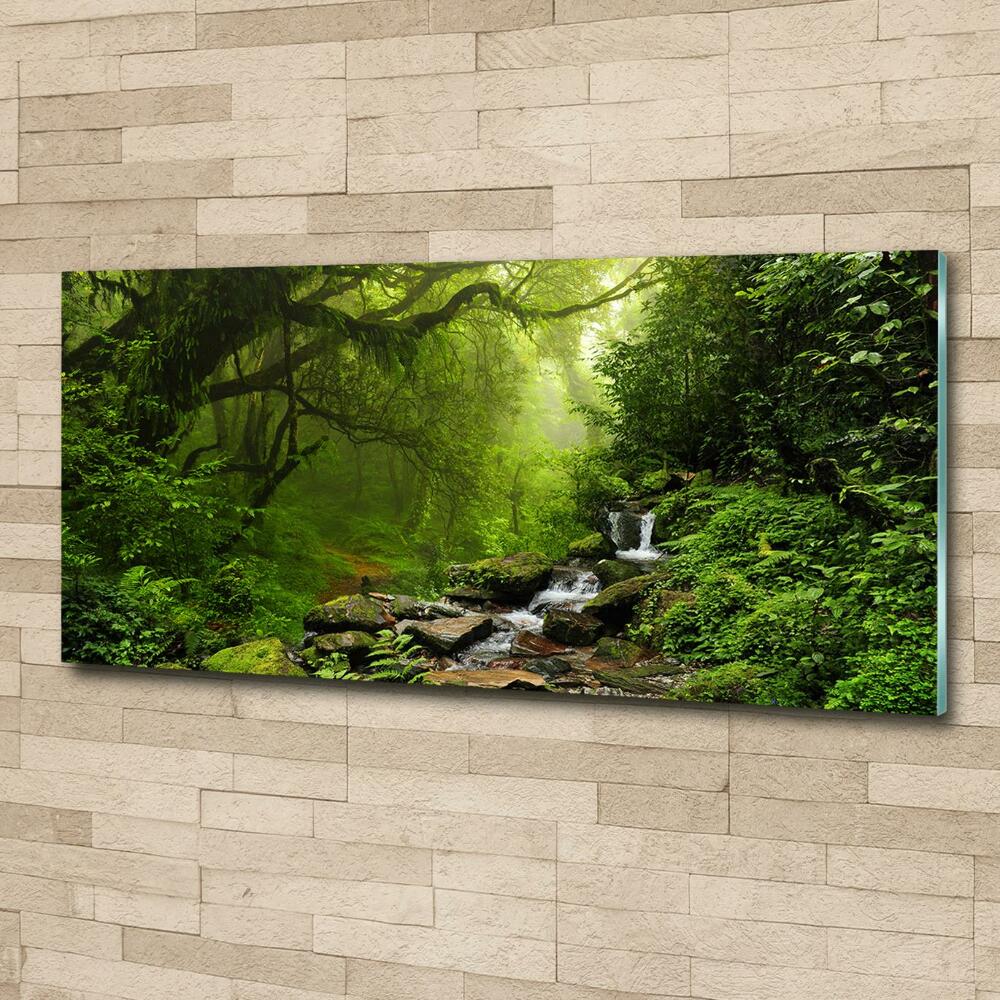 Printed glass wall art Jungle in nepal