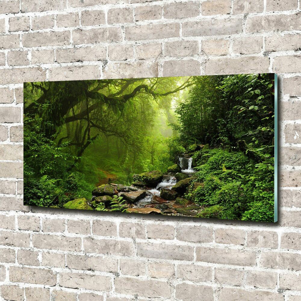 Printed glass wall art Jungle in nepal