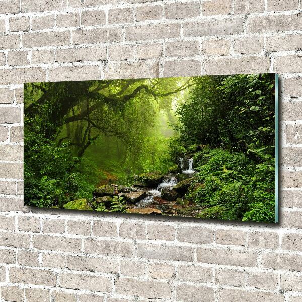 Printed glass wall art Jungle in nepal