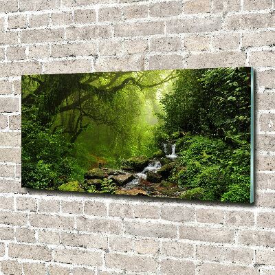 Printed glass wall art Jungle in nepal