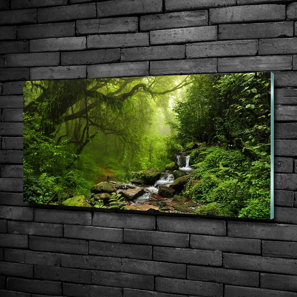 Printed glass wall art Jungle in nepal