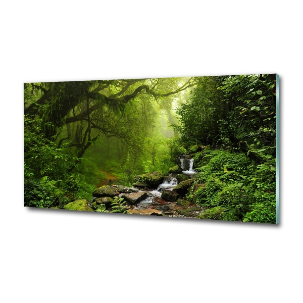 Printed glass wall art Jungle in nepal