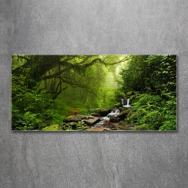 Printed glass wall art Jungle in nepal