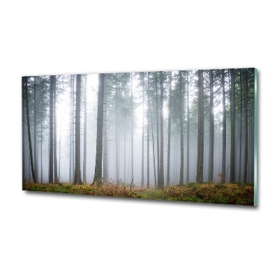 Printed glass wall art Fog in the forest