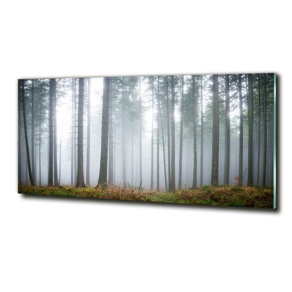 Printed glass wall art Fog in the forest