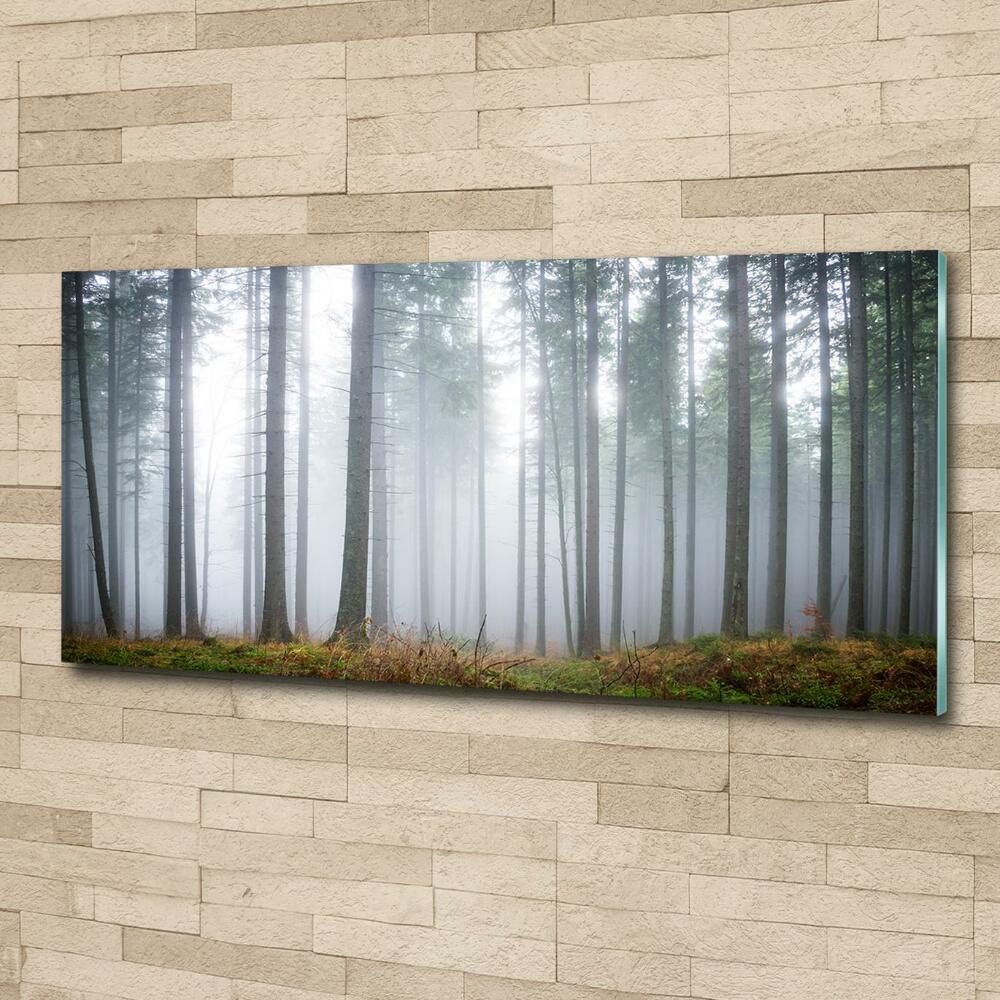 Printed glass wall art Fog in the forest