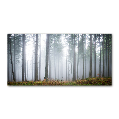 Printed glass wall art Fog in the forest