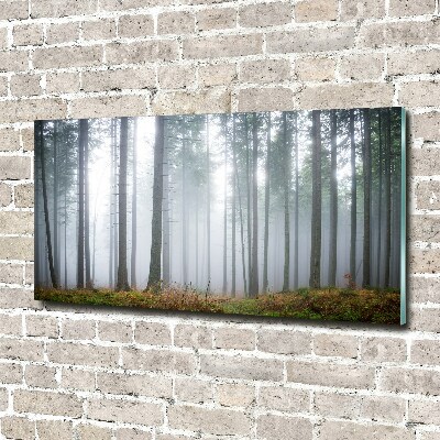 Printed glass wall art Fog in the forest